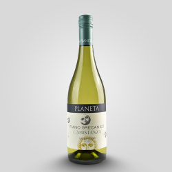 Chardonnay Sicilia Menfi D.O.C.