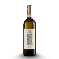Sauvignon Friuli Grave Doc Vini Tonon