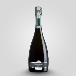 Prosecco Docg Millesimato Brut "Camul" Vini Tonon
