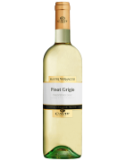 Pinot Grigio